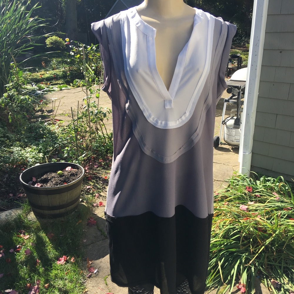 Small Sheer Color Block Bcbg Max Tunic Sleeveless - image 3
